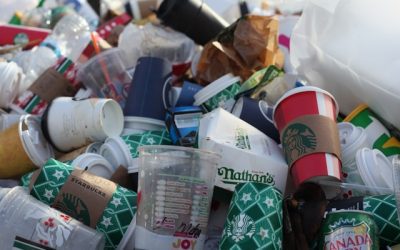 Inicio 10 correduría de Seguros Beneficios ambientales y económicos del reciclaje de papel y cartón en empresas